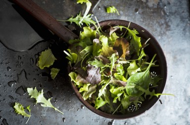 Lechugología: que te quiero verde