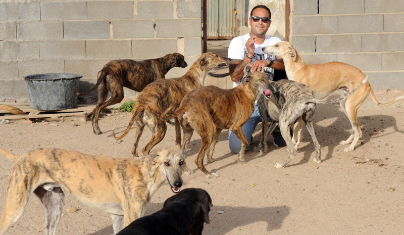 INSTALACIONES DE LA PROTECTORA DE ANIMALES SCOOBY EN MEDINA DEL CAMPO. Fran Jimenez