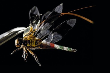 La libélula-cíborg-dron