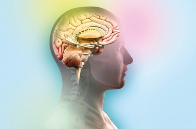 Creatividad: la biología de una idea