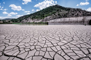 La agonía de los pantanos