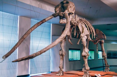 Los gigantes de La Mancha