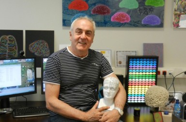 Javier DeFelipe, el descubridor de la belleza del cerebro