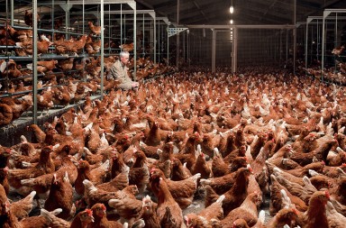 Un mundo inquietante