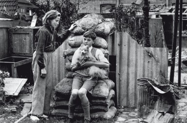 La matanza de mascotas de Londres: un sacrificio por amor