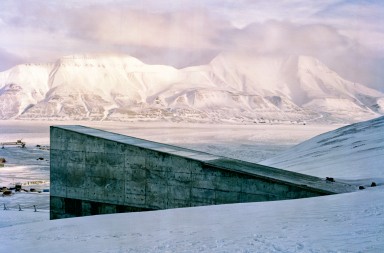 Las nuevas arcas de Noé: bancos de semillas