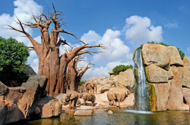 Bioparc Valencia, un zoo del siglo XXI