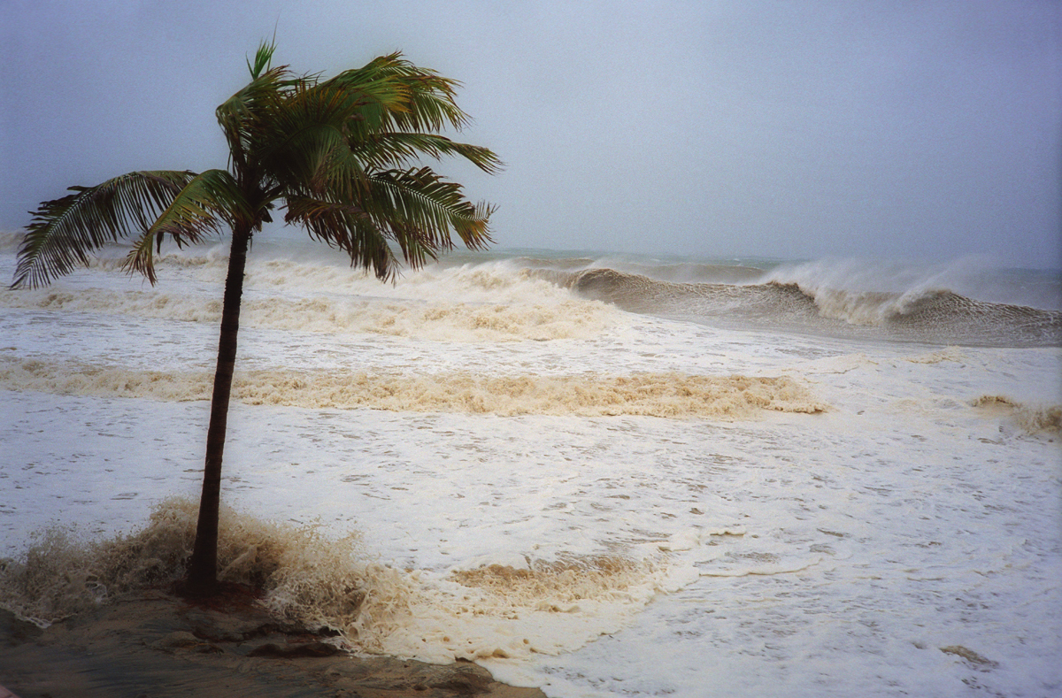 Consecuencias del cambio climático, ¿qué va a pasar?