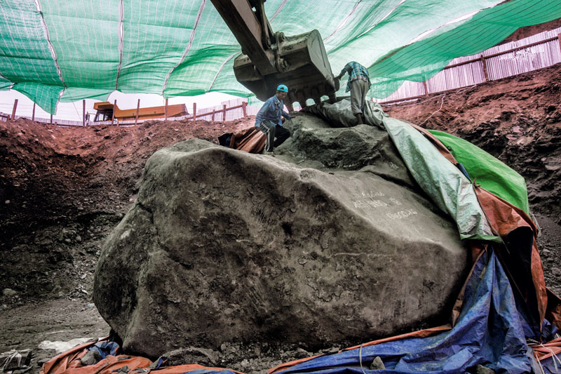 comocer, naturaleza, medioambiente, robo recursos naturales, birmania, tráfico droga, xlsemanal