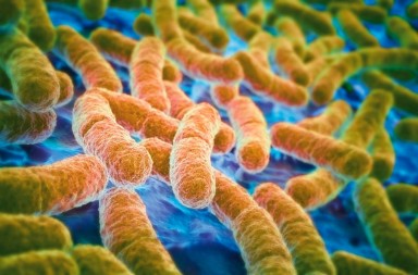 Cinco consejos que tu flora agradecerá