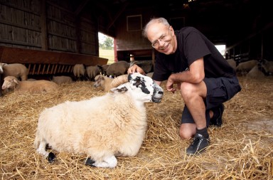 Vegetarianos y veganos… por Peter Singer