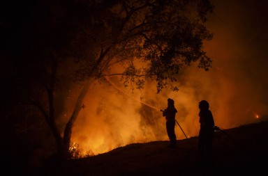 Incendios forestales: el crimen perfecto