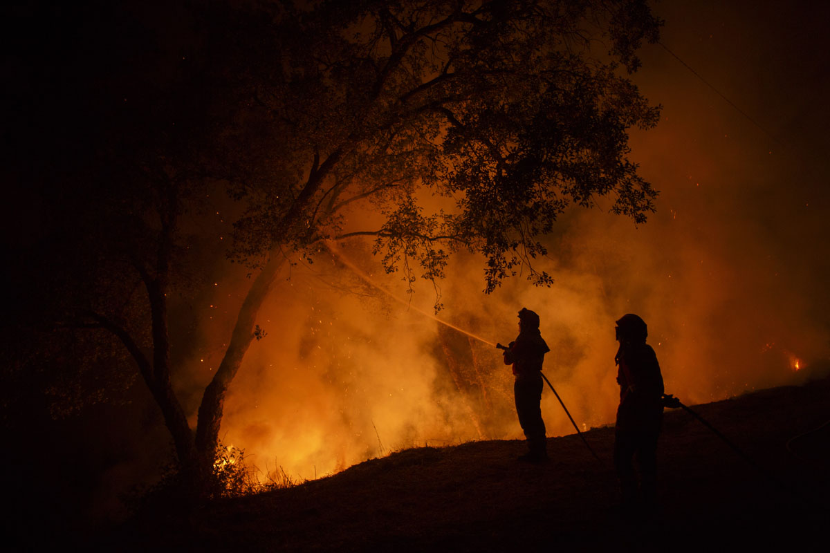 Incendios forestales: el crimen perfecto 2
