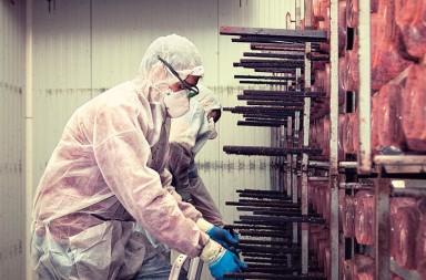 La brigada antiplagas