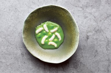 Los insectos, la revolución en la cocina gourmet