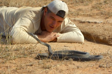 Los animales que más miedo le dan a Frank de la Jungla