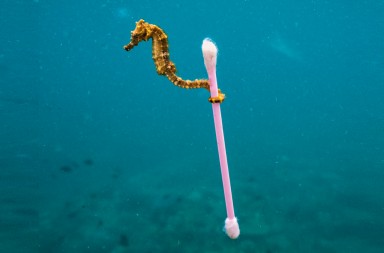 Haciendo ‘surf’ con la basura