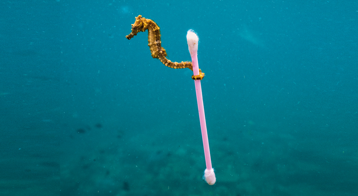 Contaminación marina: haciendo 'surf' con la basura