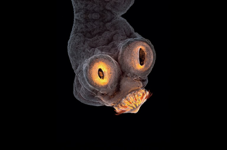 El ‘alien’ que llevamos dentro El ‘alien’ que llevamos dentro
