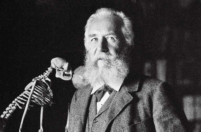 El ecologista que inspiró a los nazis El ecologista que inspiró a los nazis