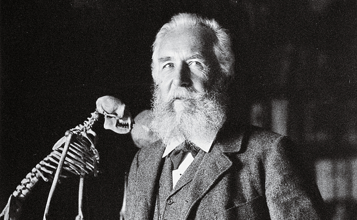 El ecologista que inspiró a los nazis 3