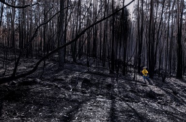 Galicia amenazada: llegan los incendios de sexta generación
