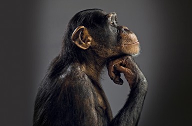 El origen del hombre no era como pensábamos