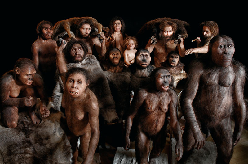 conocer, naturaleza, origen del hombre, evolución, antropologia, xlsemanal