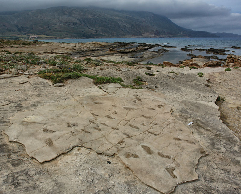 conocer, naturaleza, origen del hombre, evolución, antropologia, xlsemanal