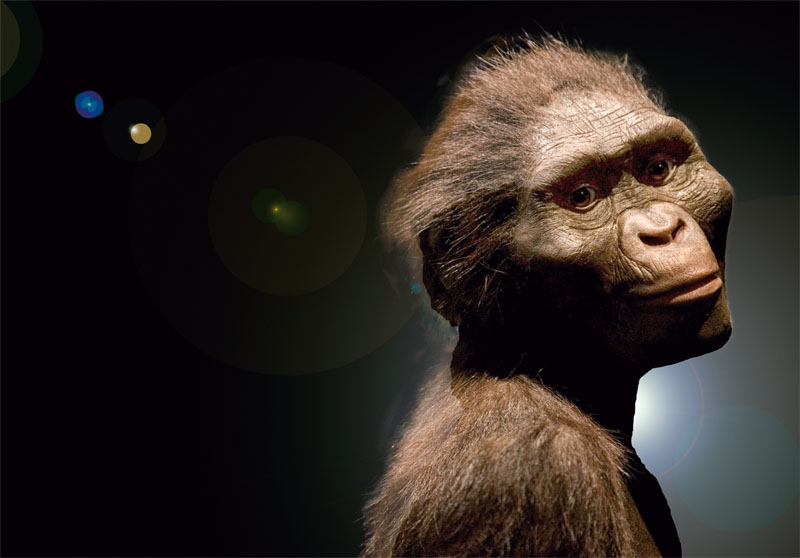 conocer, naturaleza, origen del hombre, evolución, antropologia, xlsemanal