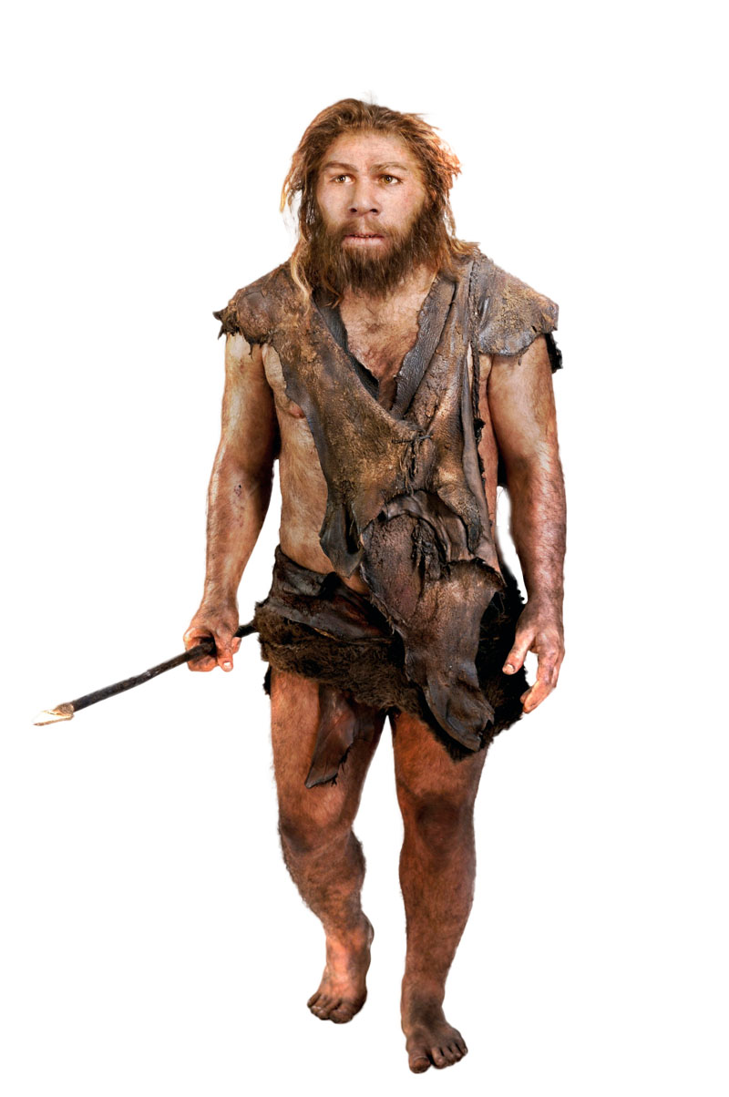 conocer, naturaleza, origen del hombre, evolución, antropologia, xlsemanal