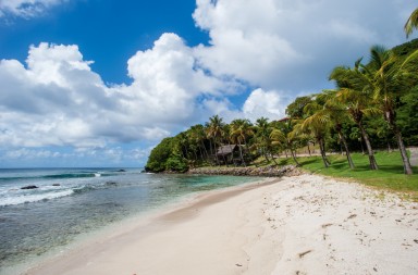 La auténtica isla de los famosos