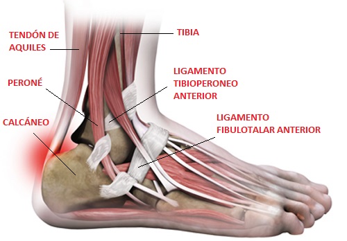 Running... ¡cuidado con los puntos débiles! 12