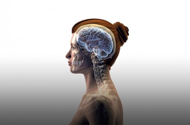 Así se ‘recablea’ el cerebro para lograr una pirueta