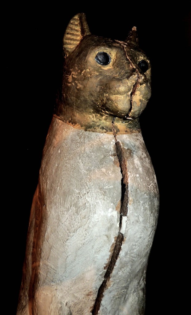 Animales momificados