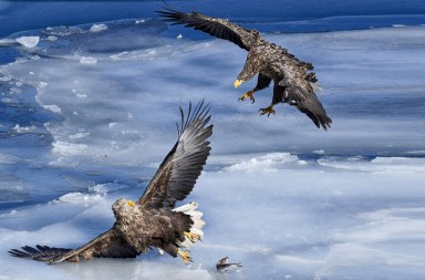 Quien roba a un ladrón…