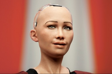 El primer humanoide reconocido como ciudadano