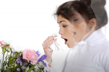 Seis verdades sobre las alergias