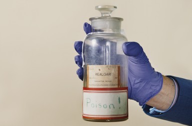 El gran secreto de la pintura se esconde en Harvard
