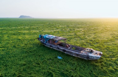 El desastre del lago menguante