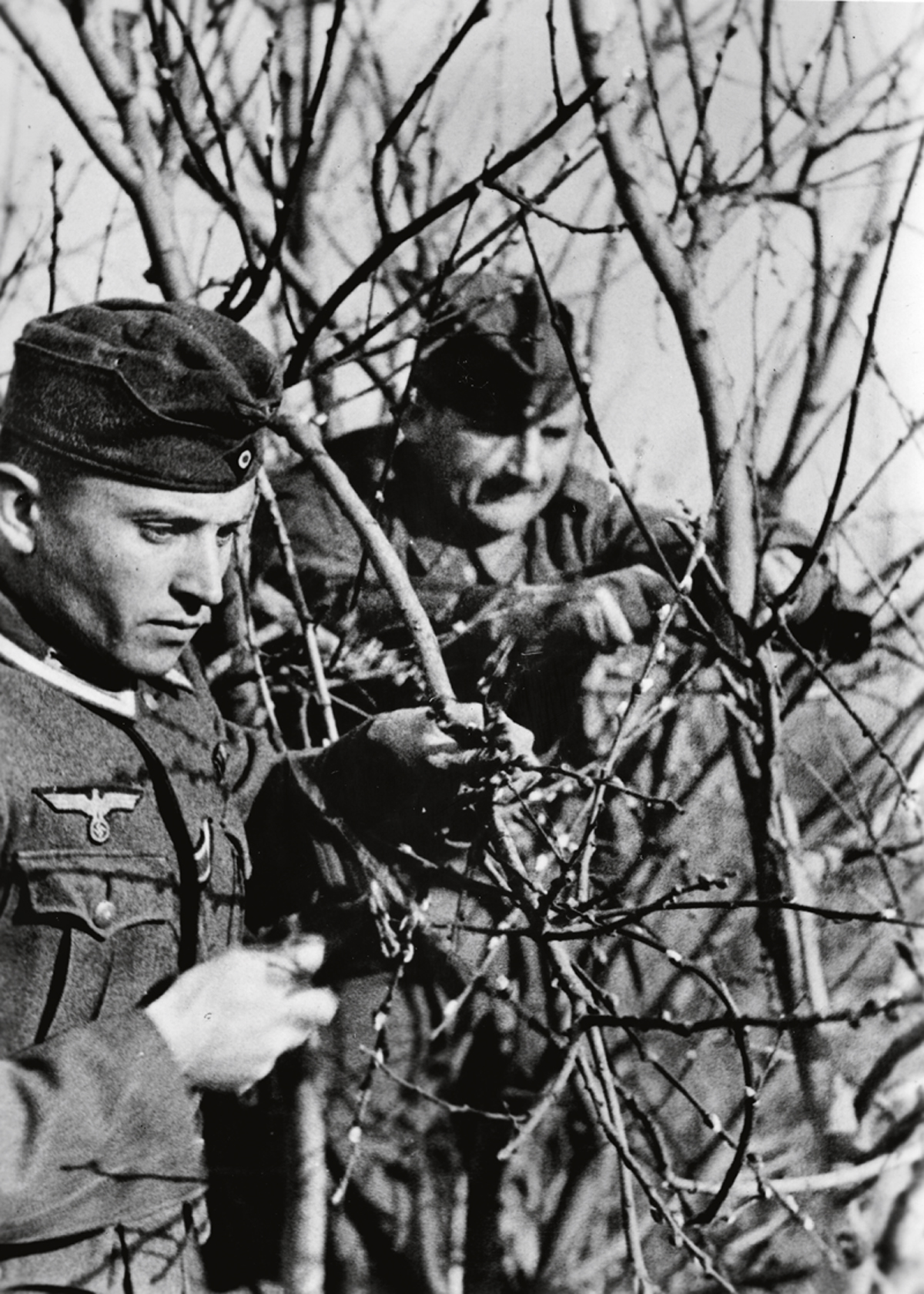 The Nazi Propaganda! on the back of the image reads: "Friendly play with nature. Where in the last late autumn snow and frost were the harbingers of winter, the catkins started to bloom in mid-November this year. Should we take this as a symbol that this year's Eastern winter is in favor of us?" Image from the Eastern Front, 14 December 1942. The attack on the Soviet Union by the German Reich was agreed on in July 1940 and prepared as the "Operation Barbarossa" since December 1940. On 22 June 1941, the invasion by the German Wehrmacht began. Photo: Berliner Verlag/Archiv | usage worldwide