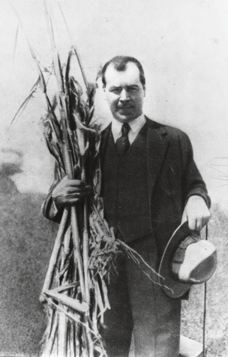 nazi narcos heinz brucher