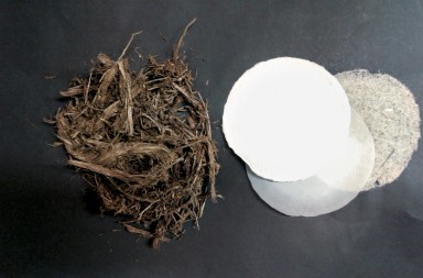 ¿Es posible hacer papel con excrementos?