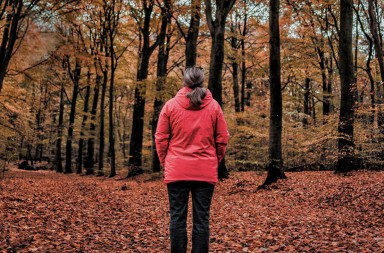 El futuro de las pensiones