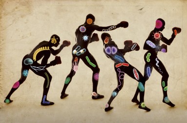 Pon en forma tus bacterias y gana en salud