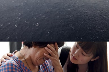 Vuelo Malaysia Airlines MH370, caso resuelto