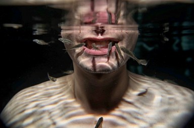 Limpieza dental… o la comida del día