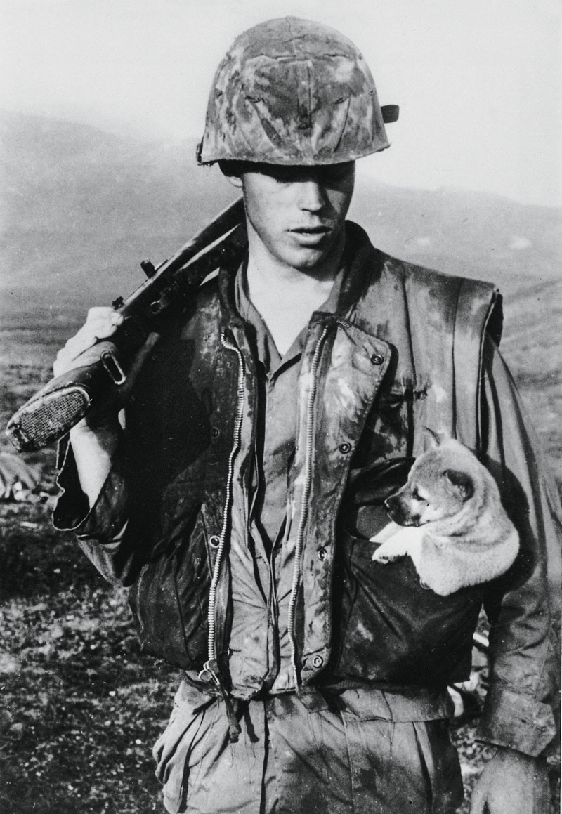 perros primera guerra mundial, centenario
