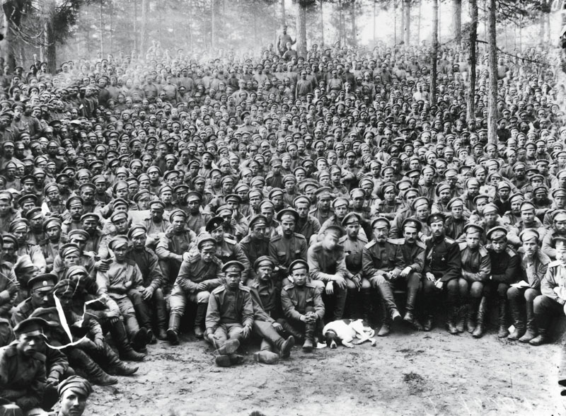 perros primera guerra mundial, centenario