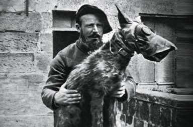 Soldados de cuatro patas